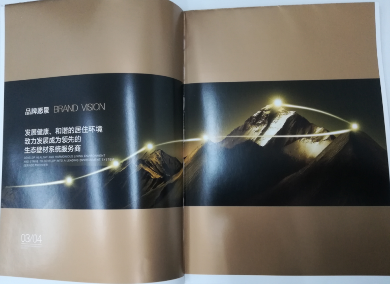 洛迪環(huán)?？萍计髽I(yè)宣傳畫冊印刷圖2